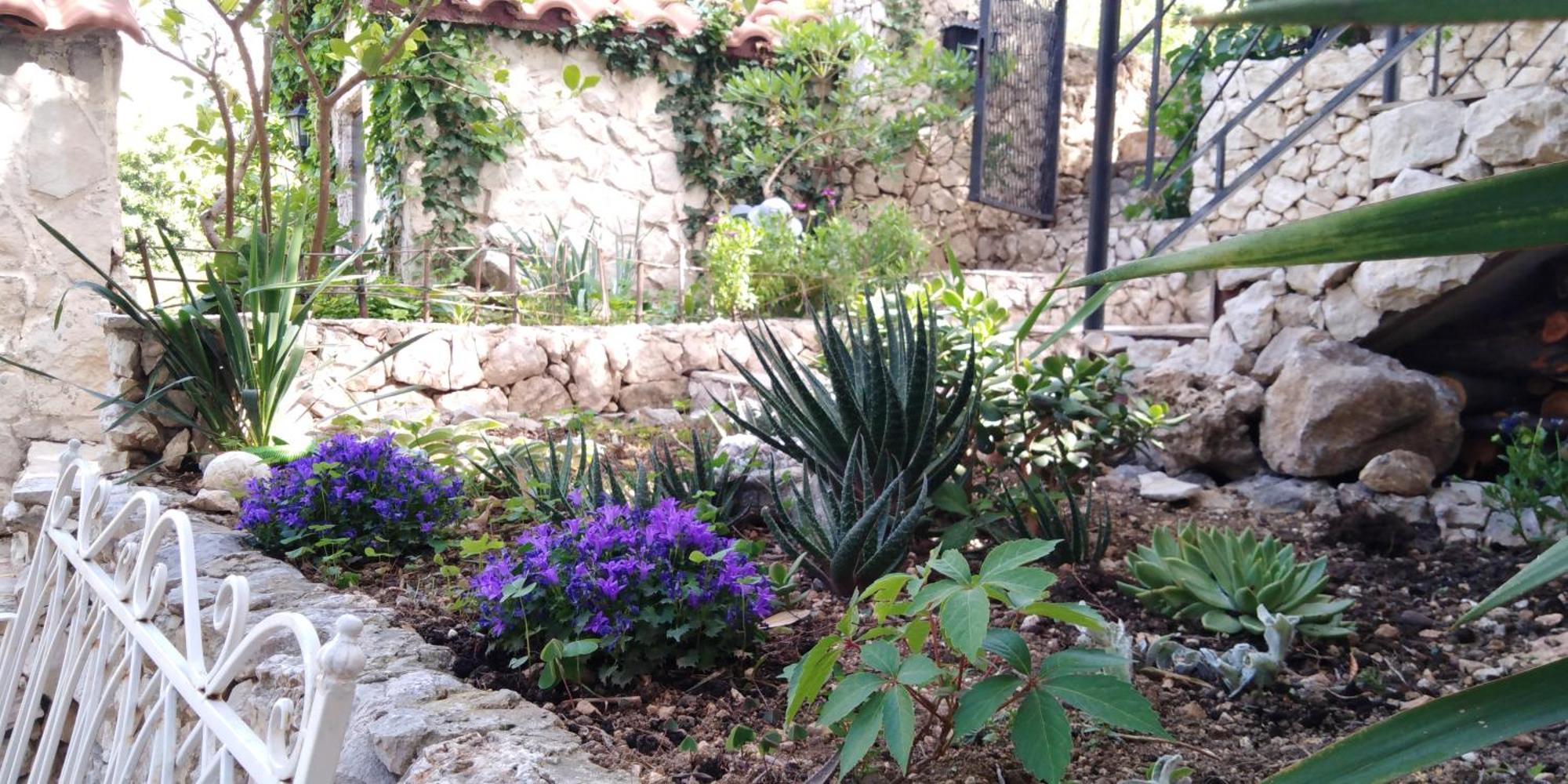 Villa Victoria Gradac  Exterior photo